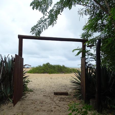 מלון סאו מיגל דה גוסטוסו Jungle House מראה חיצוני תמונה