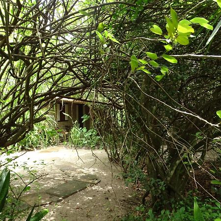 מלון סאו מיגל דה גוסטוסו Jungle House מראה חיצוני תמונה