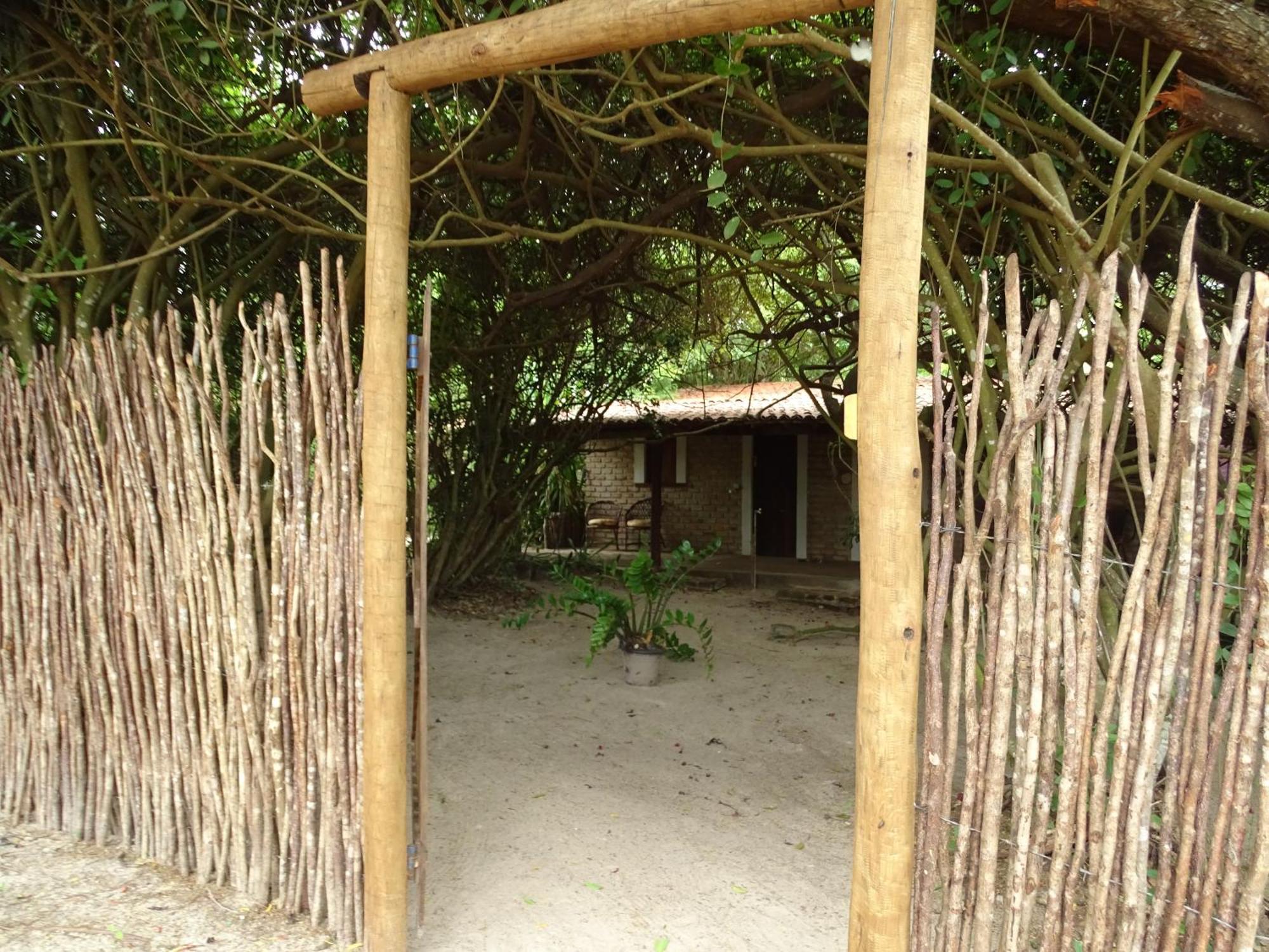 מלון סאו מיגל דה גוסטוסו Jungle House מראה חיצוני תמונה