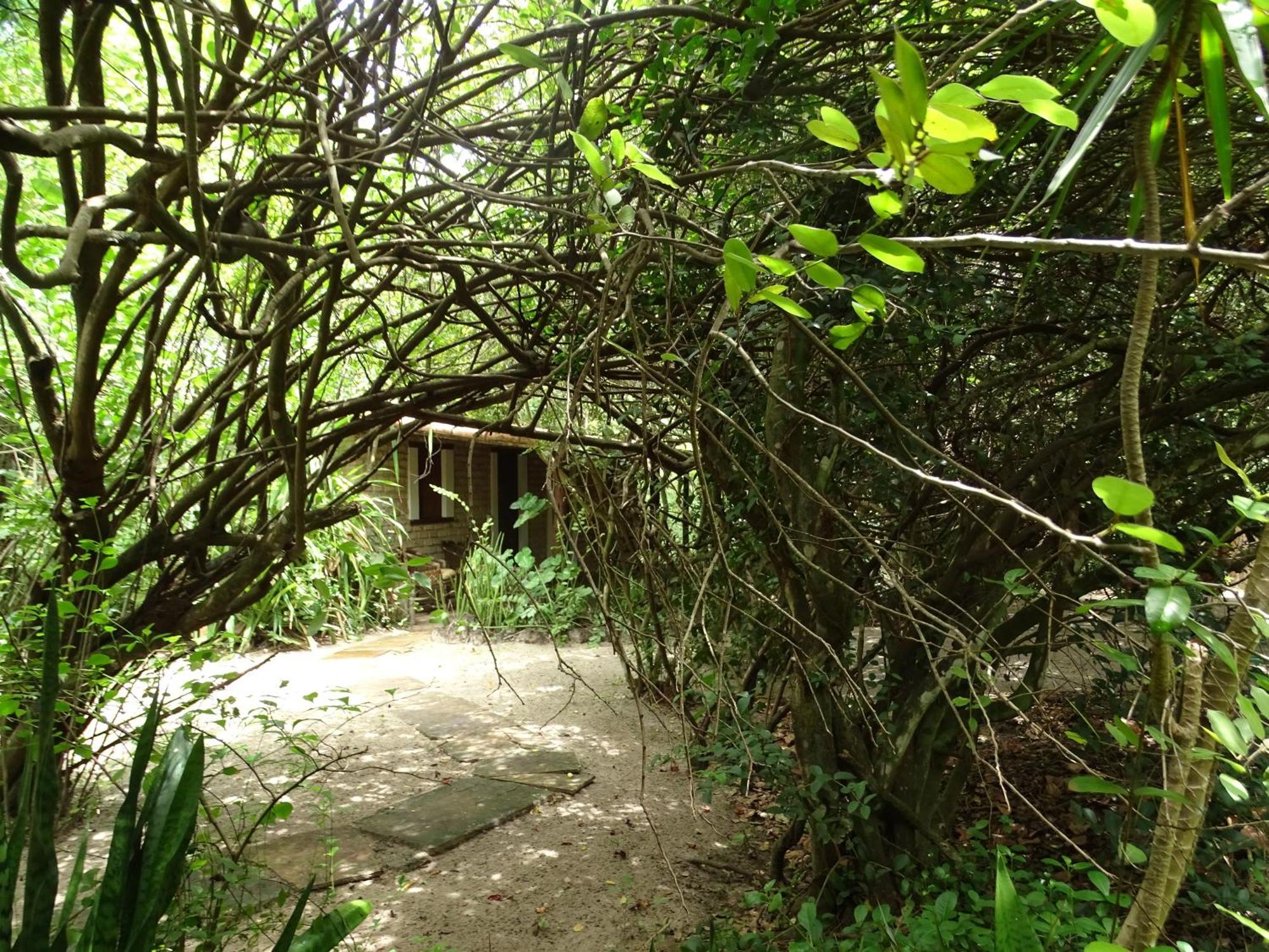 מלון סאו מיגל דה גוסטוסו Jungle House מראה חיצוני תמונה